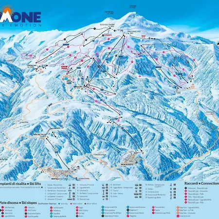 Emily House 비뇰라